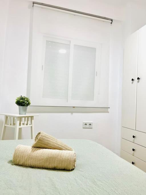 New Spacious And Cozy - Lejlighed